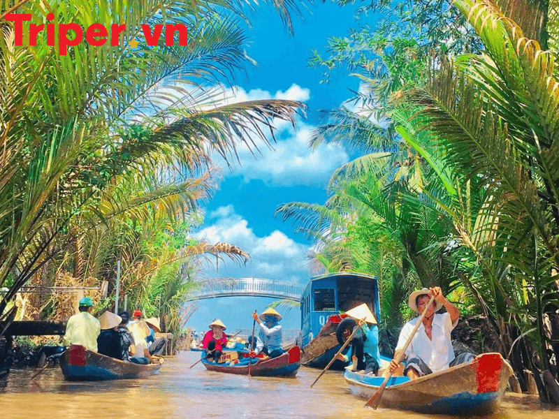 Top các công ty du lịch uy tín nhất tại phường Tân Sơn Hòa