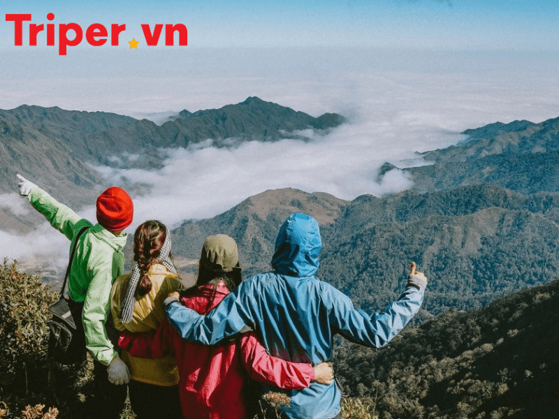 Top các công ty du lịch uy tín nhất tại phường Tân Sơn Hòa