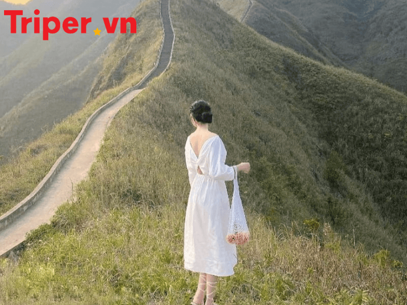công ty du lịch phường Tân Thuận (1)