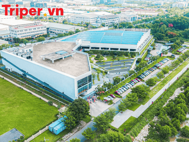 công ty du lịch phường Tân Thuận (3)