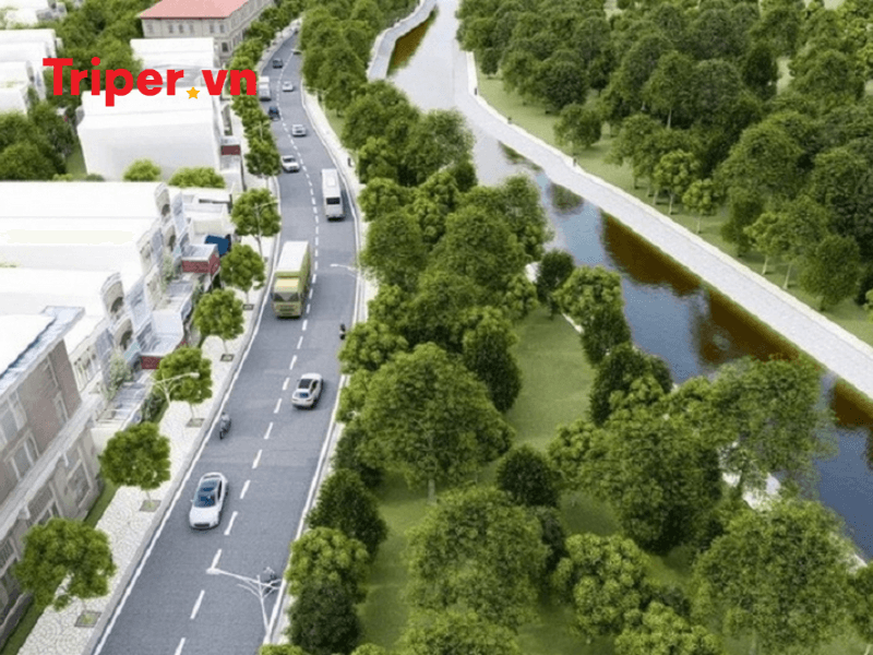 Vai trò của các công ty du lịch tại phường Tây Thạnh