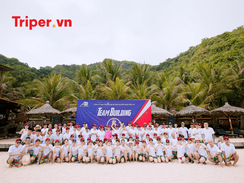 Ưu điểm của công ty du lịch Pro Tour