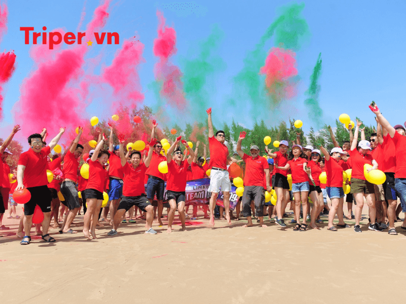 Thông tin các tour nổi bật tại công ty du lịch quốc tế Hải Vân