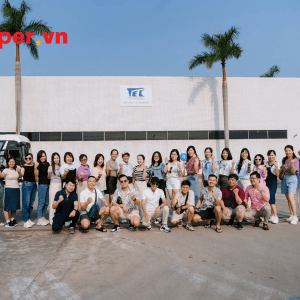 công ty du lịch quốc tế việt á