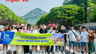 công ty du lịch quốc tế xanh