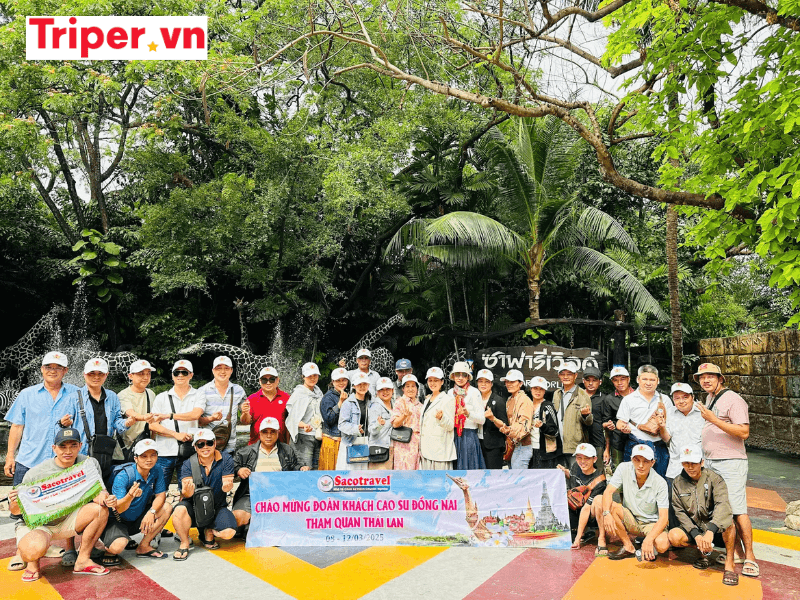 Thông tin các tour nổi bật tại Công ty du lịch Saco Travel