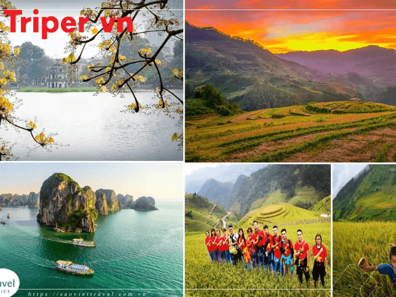 công ty du lịch saoviettravel (3)