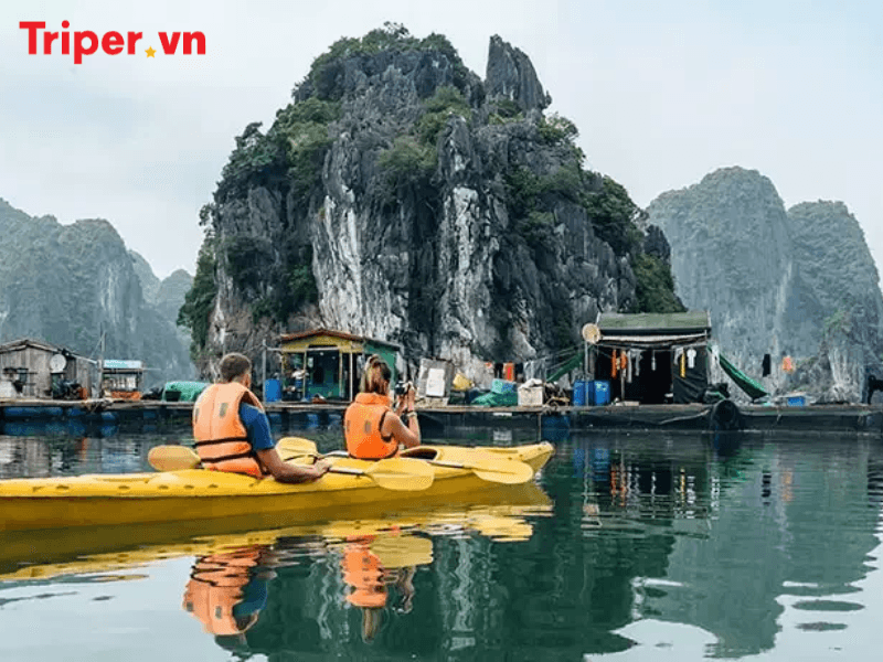 công ty du lịch vịnh hạ long