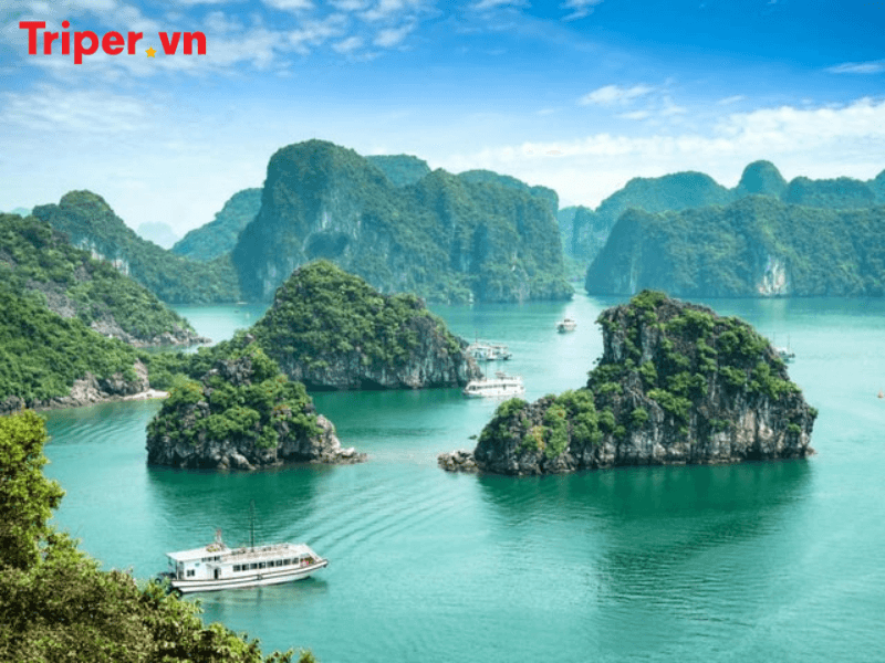 công ty du lịch vịnh hạ long