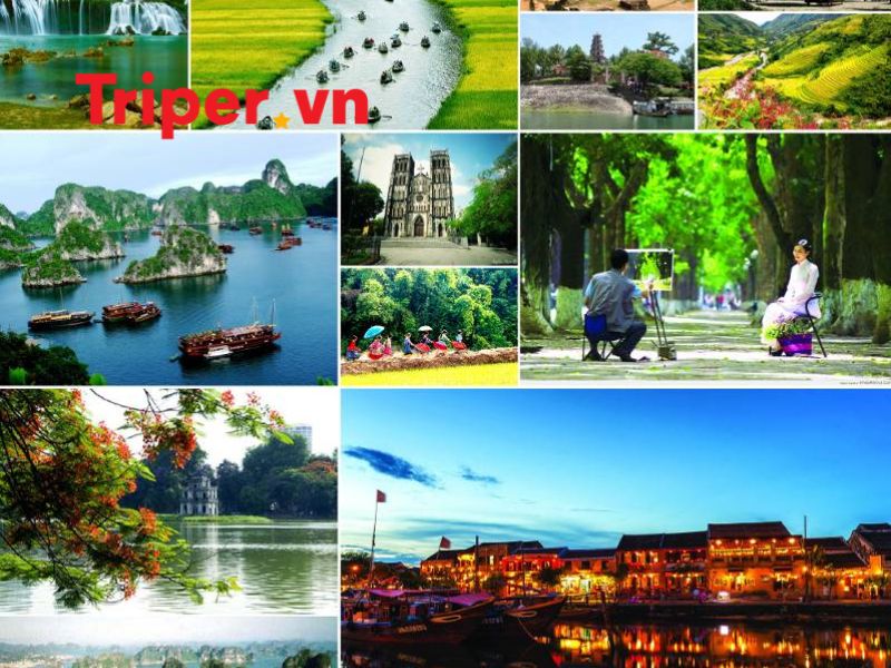Thông Tin Các Tour Nổi Bật Tại Công Ty Du Lịch Winway