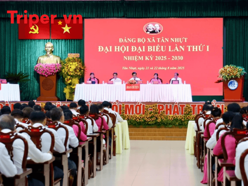 So sánh và gợi ý lựa chọn tour du lịch