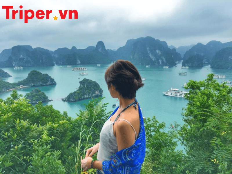 công ty du lịch xã Xuân Thới Sơn (3)
