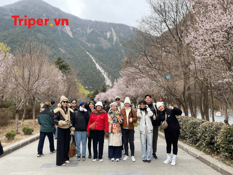 Tour khuyến mãi