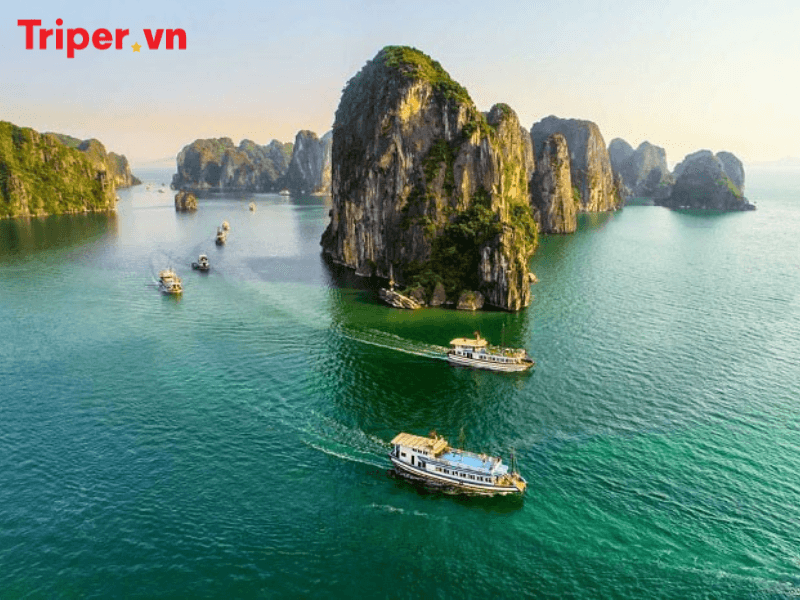 công ty hải đăng travel