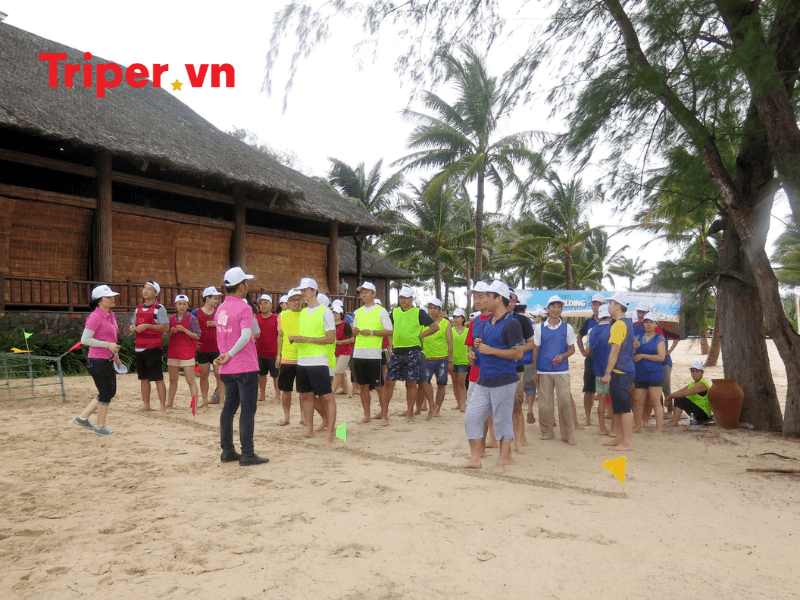 Thông tin các tour nổi bật tại công ty ntd travel