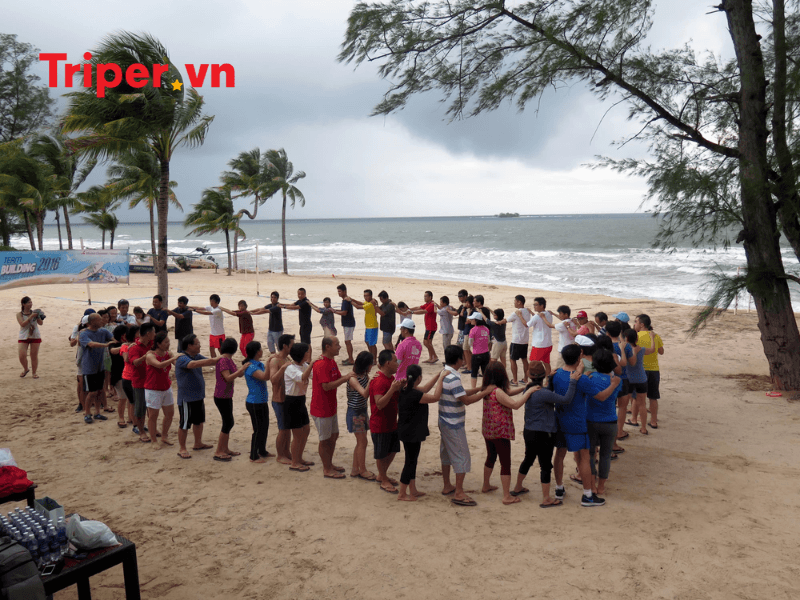 Các đánh giá của công ty ntd travel