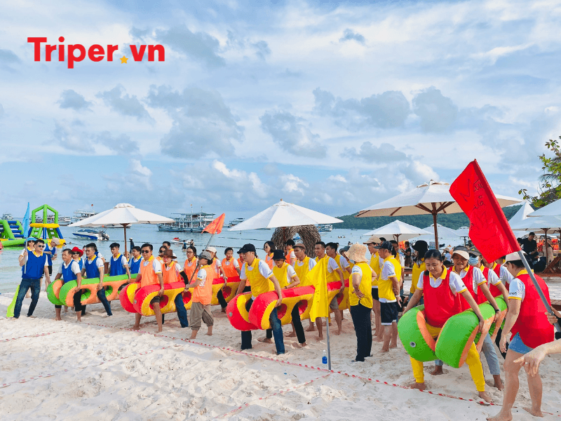 Tour trong nước