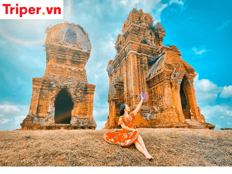 Công Ty Du Lịch Thảo Nguyên