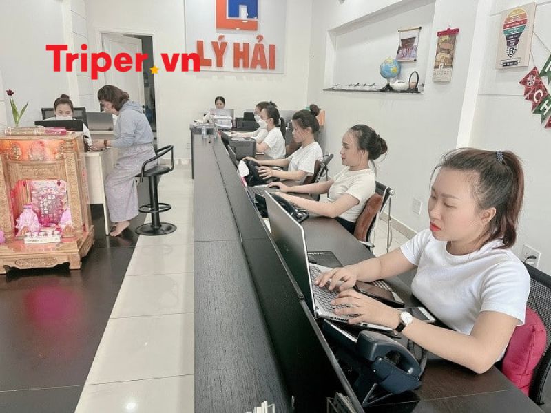 Giới Thiệu Về Công Ty Tnhh Dịch Vụ Du Lịch Lý Hải