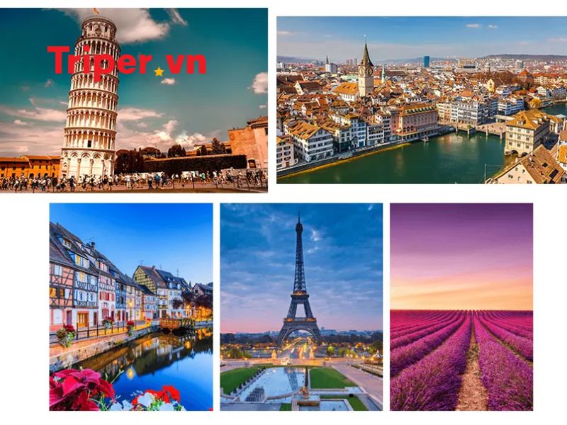 Ưu Điểm Của Công Ty Tnhh Dịch Vụ Du Lịch Lý Hải