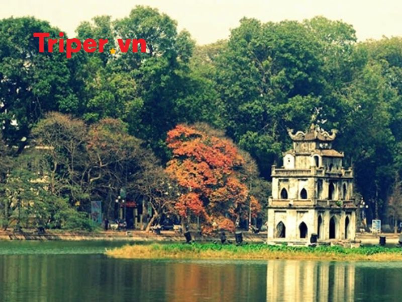 Ưu Điểm Của Công Ty Tnhh Dịch Vụ Du Lịch Lý Hải