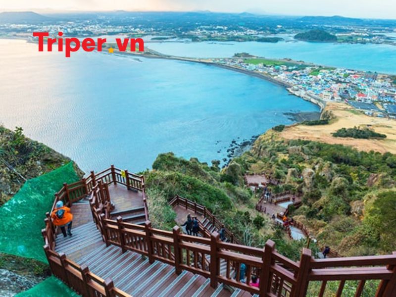 Thông Tin Các Tour Nổi Bật Tại Công Ty Du Lịch Phú Sĩ