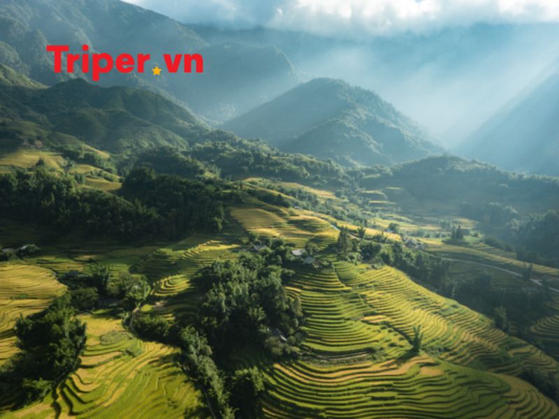 Ưu Điểm Của Công Ty Du Lịch Phú Sĩ