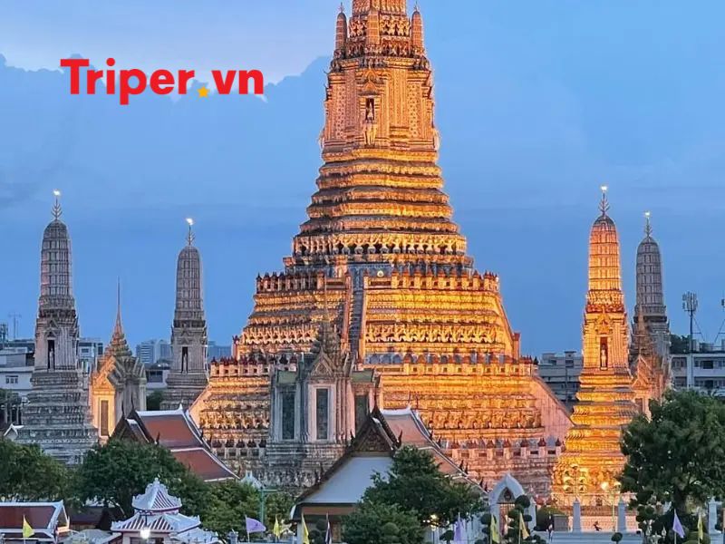 Các Tour Nổi Bật