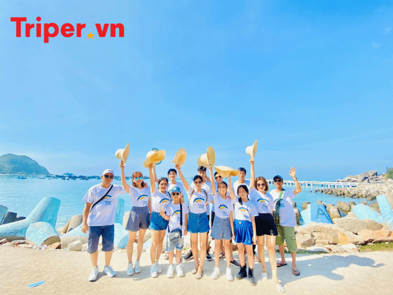 Các Đánh Giá Của Công Ty Du Lịch C.u