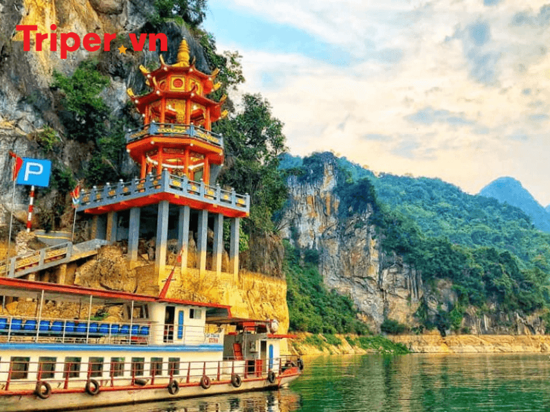 Giới Thiệu Về Công Ty Du Lịch Hoa Mai