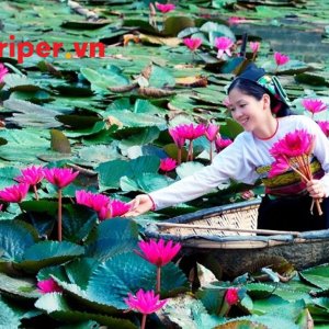 Công Ty Du Lịch Ht Travel