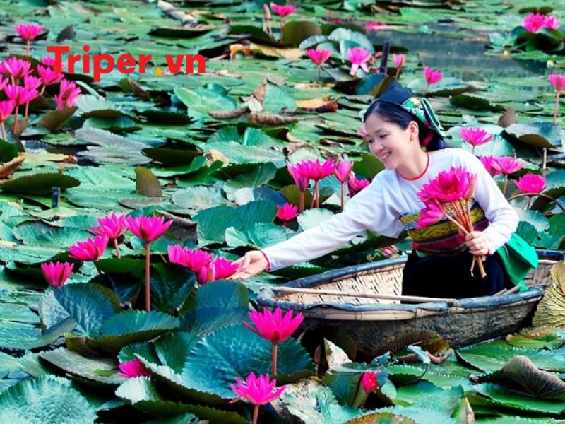 Tour Du Lịch Nổi Bậc