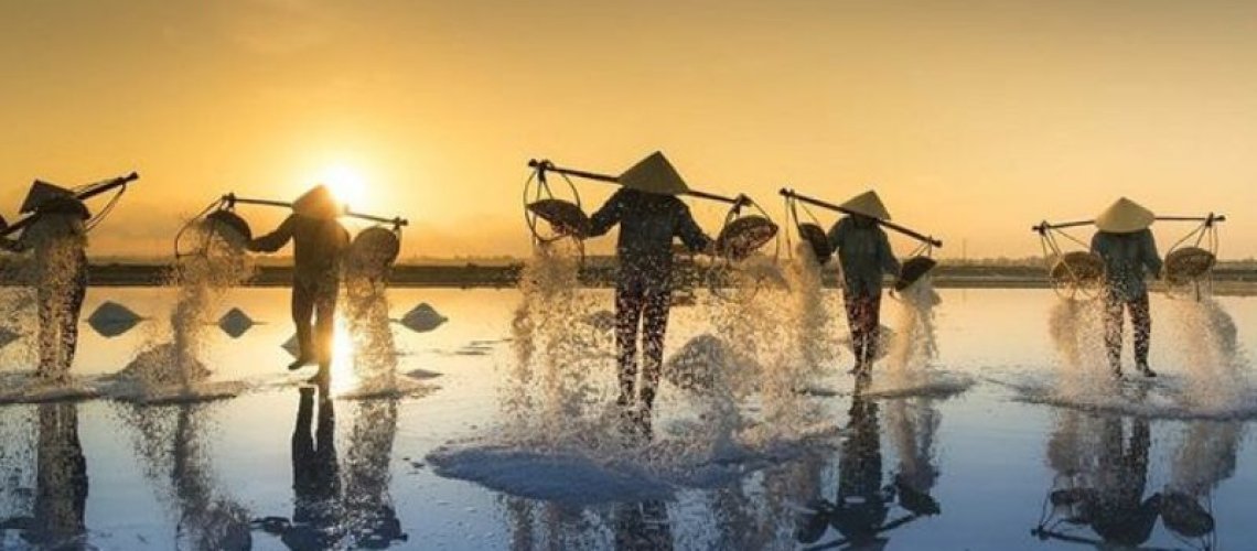 công ty du lịch intour