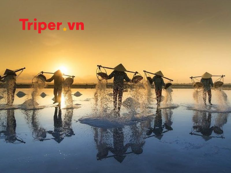 Thông Tin Các Tour Nổi Bật Tại Công Ty Du Lịch Intour