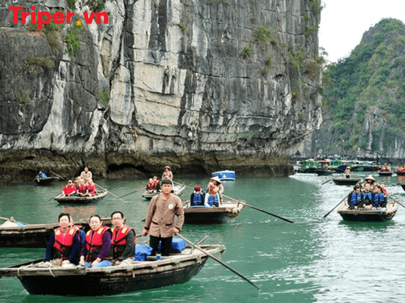 Công Ty Du Lịch Khám Phá Mới