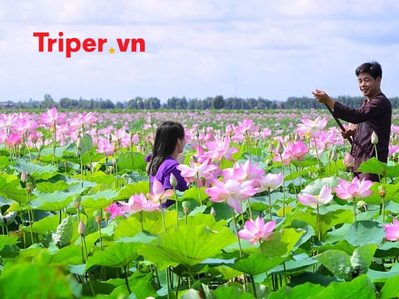 Thông Tin Các Tour Nổi Bật Tại Công Ty Du Lịch Kim Travel