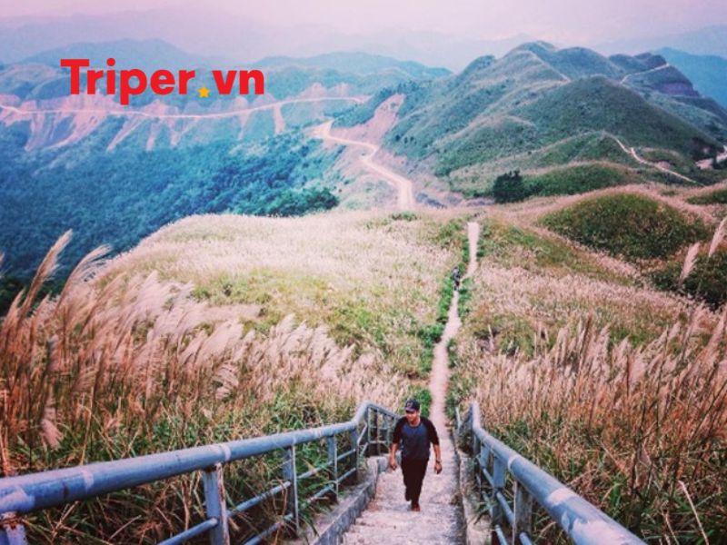 Ưu Điểm Của Công Ty Vina Travel