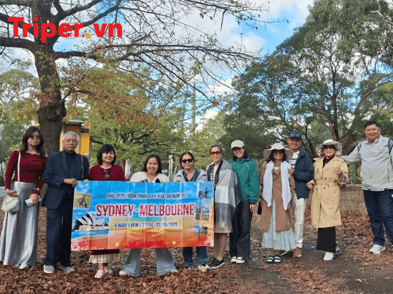 Các Đánh Giá Của Công Ty Du Lịch Nước Ngoài Công Ty Cổ Phần Du Lịch Vigotour