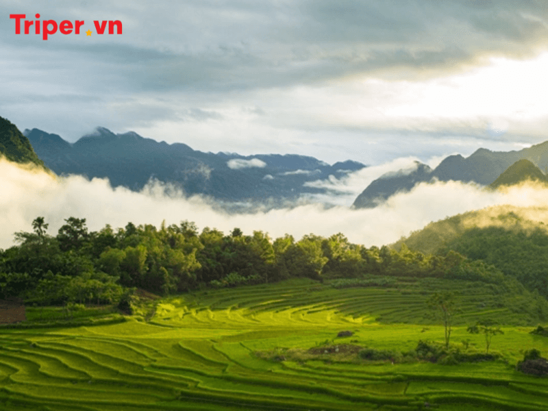 Công Ty Du Lịch Quốc Tế 3R