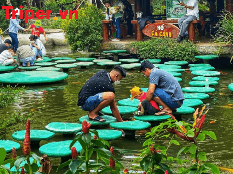 Các Tour Nổi Bật Tại Công Ty Du Lịch Sinh Thái