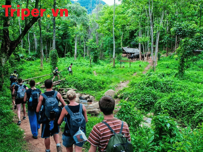 Ưu Điểm Của Công Ty Du Lịch Sinh Thái