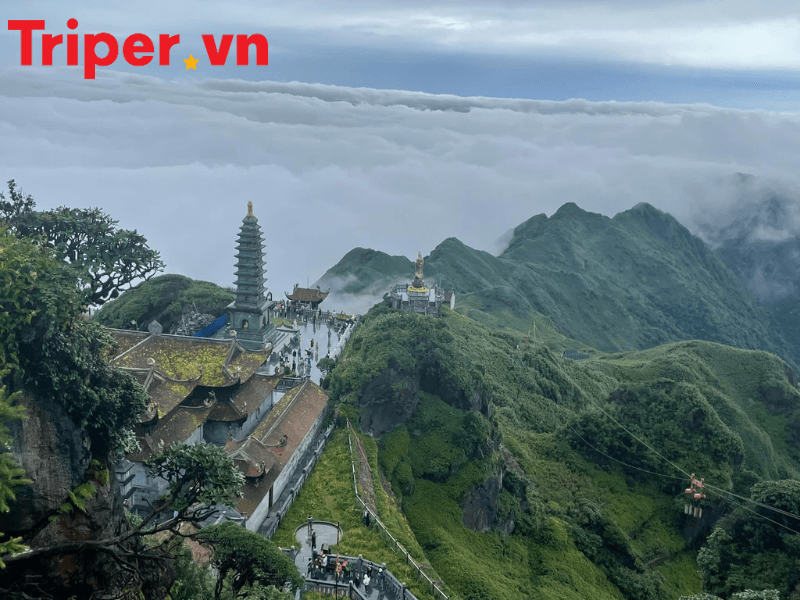 Công Ty Du Lịch Tân Phương Đông 