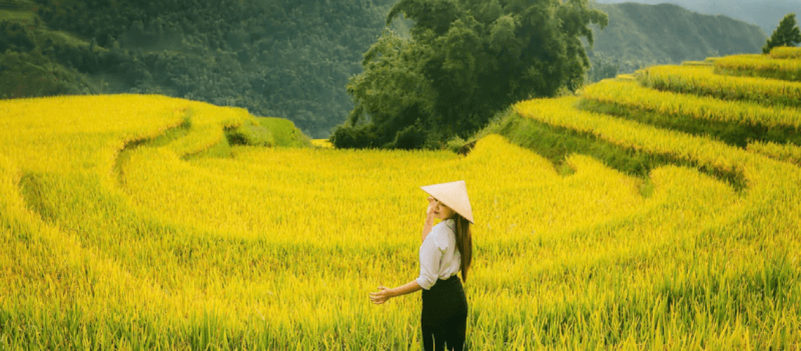 công ty du lịch tân phương đông (2)