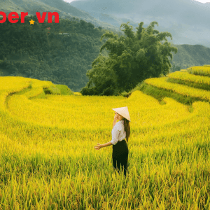 Công Ty Du Lịch Tân Phương Đông (2)