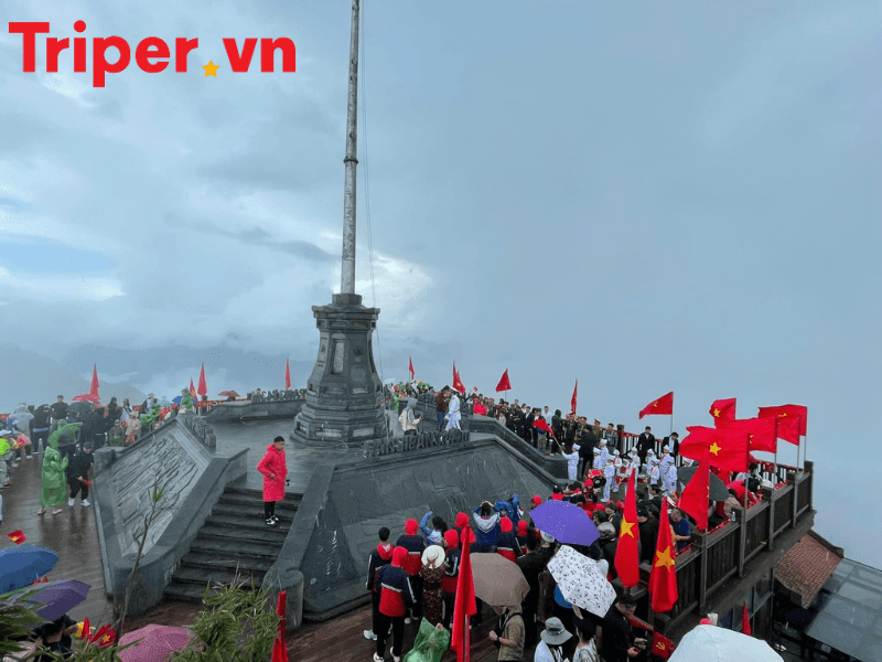 Ưu Điểm Của Công Ty Du Lịch Tân Phương Đông