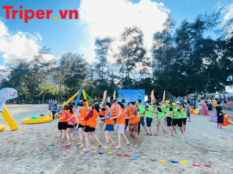 Công Ty Du Lịch Tân Việt