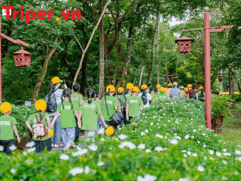 Công Ty Du Lịch Thái Sơn 