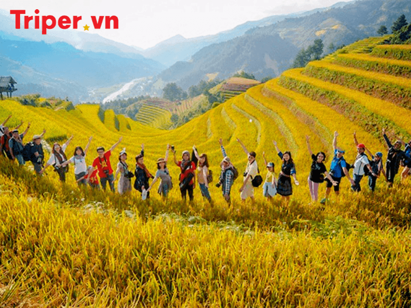 Công Ty Du Lịch Việt Hưng