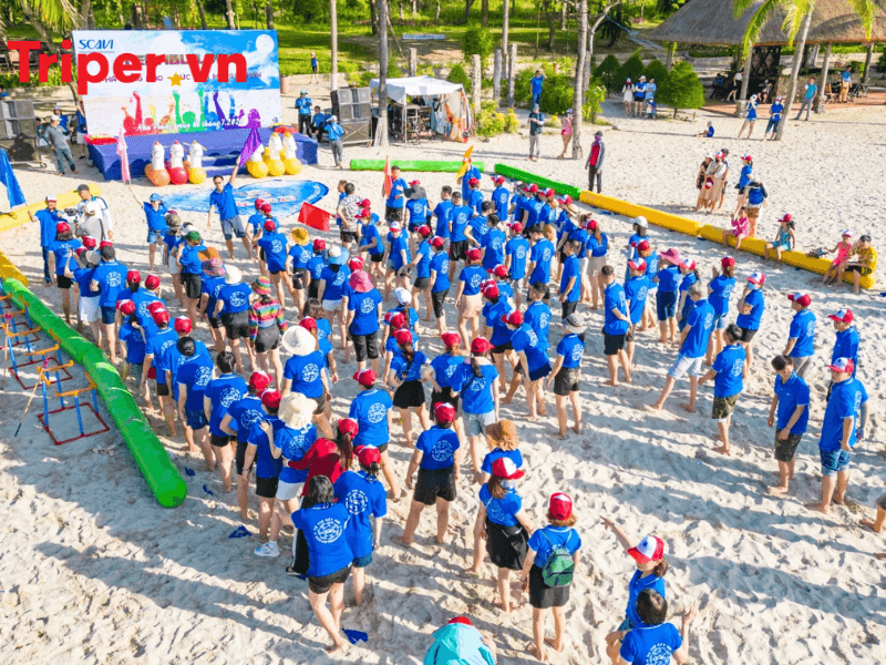 Giới Thiệu Về Công Ty Du Lịch Vietholiday Tourist