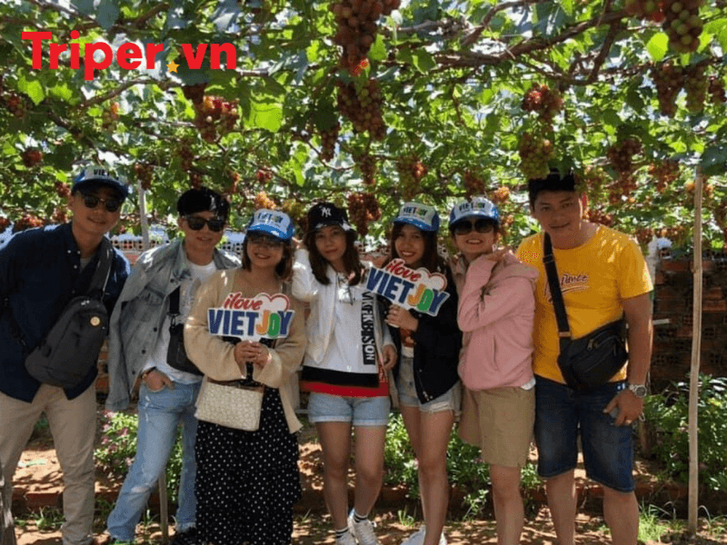 Các Đánh Giá Của Công Ty Du Lịch Vietjoy Tourist